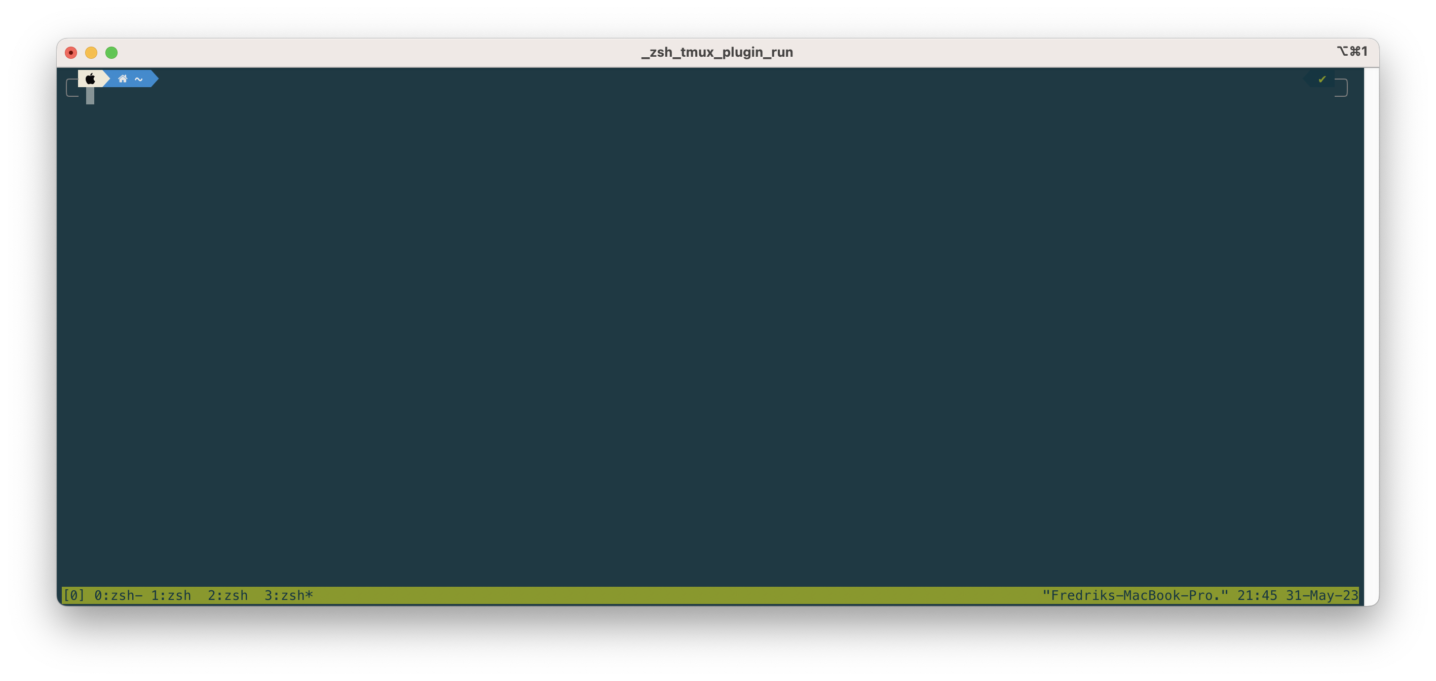 Tmux start